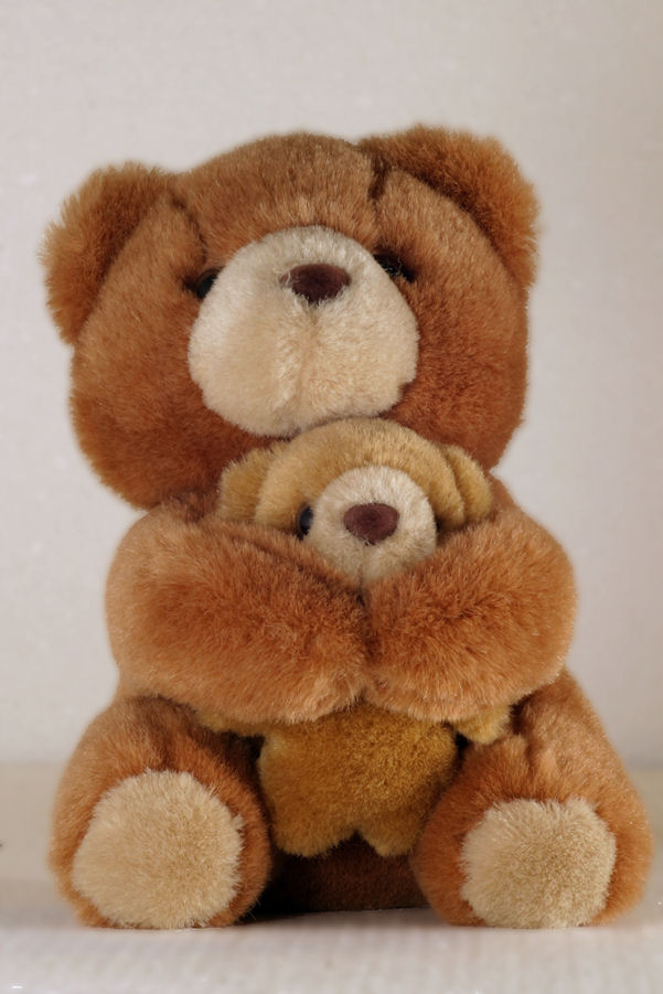 Momma teddy bear hugging a baby teddy bear